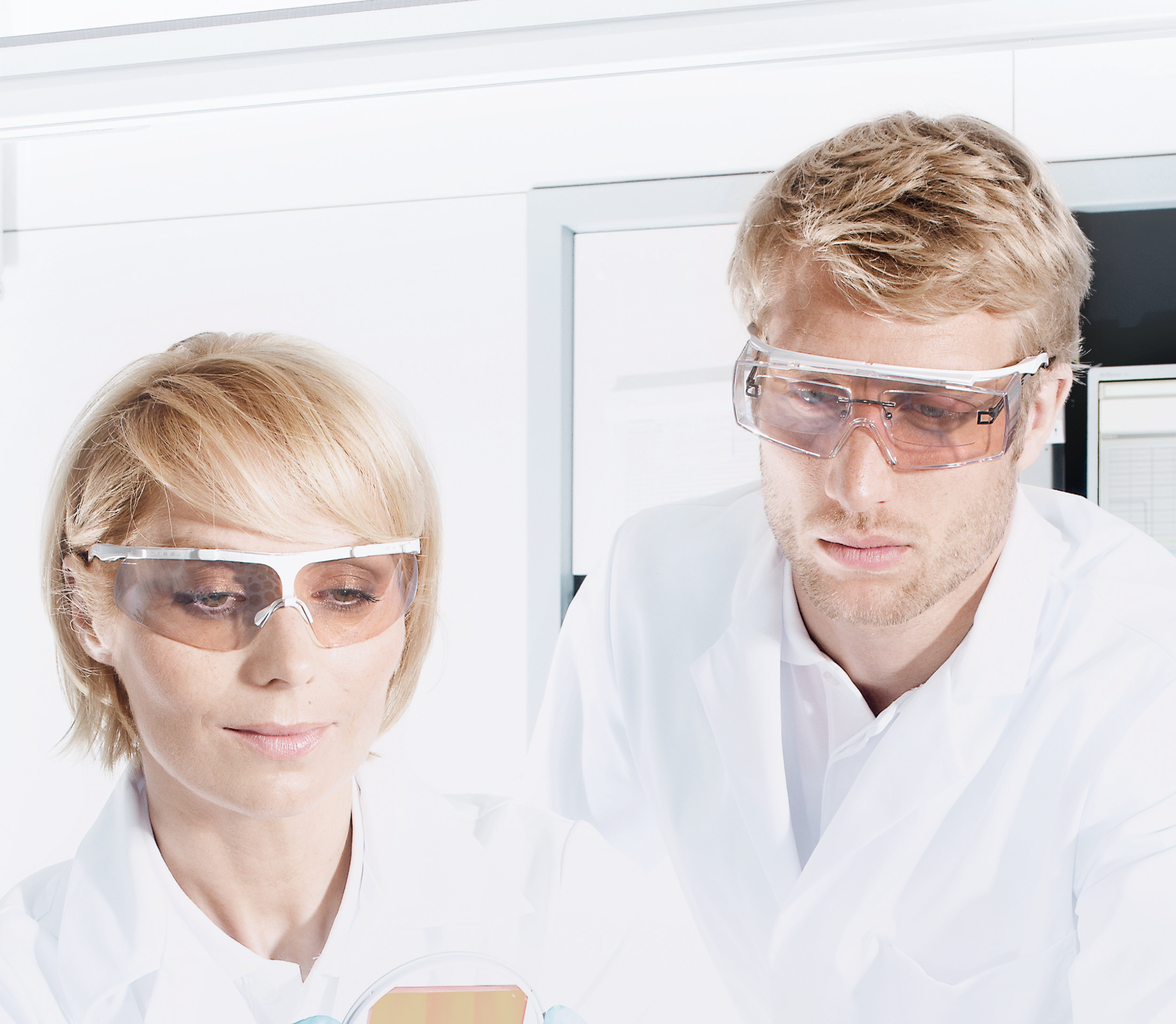 safety eyewear food industry